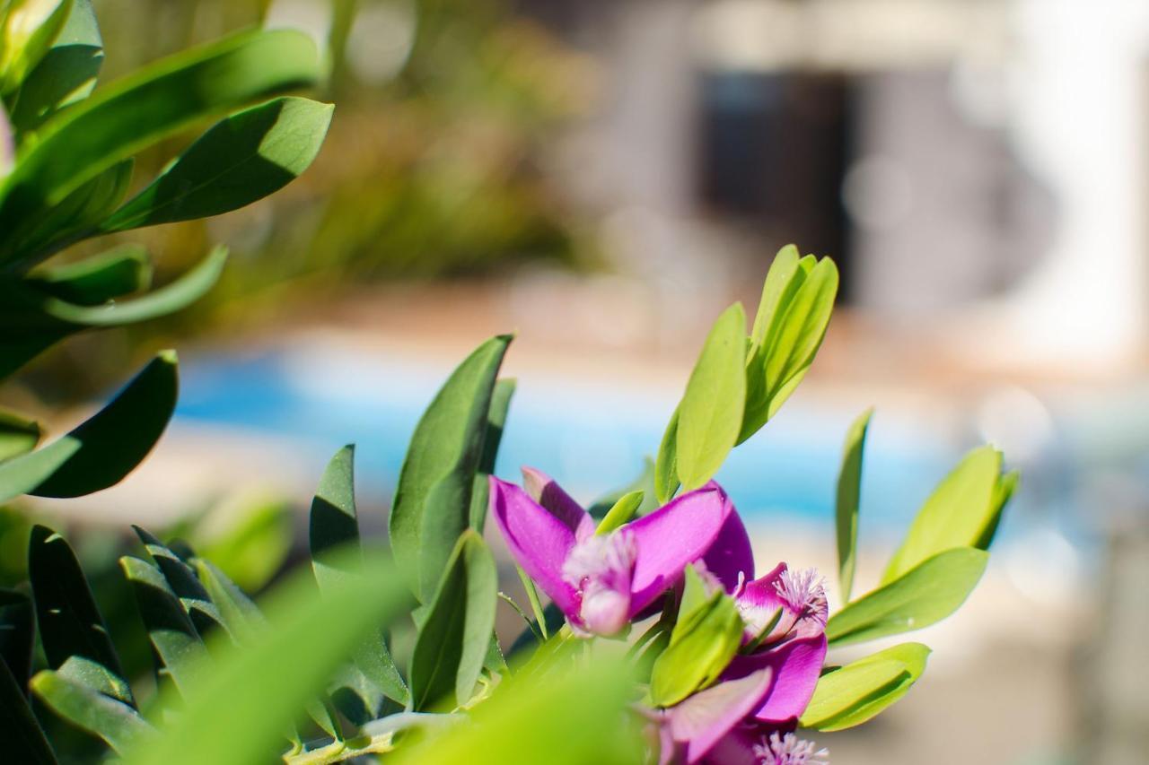 Villa De La Paz ปลายาบลังกา ภายนอก รูปภาพ